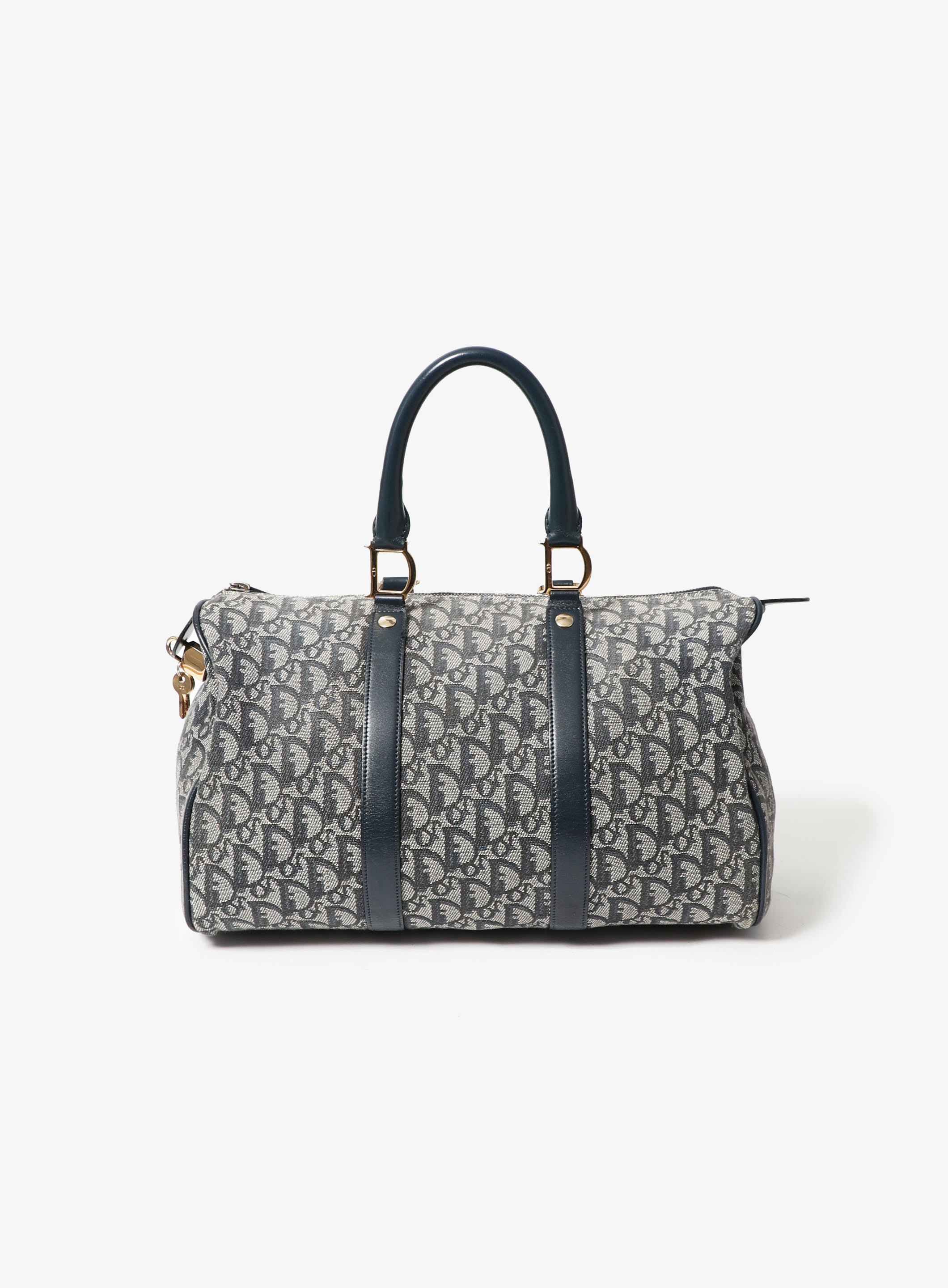 Louis Vuitton Pre-Owned Alizé 1 Poche Garment Travel Bag Monogram